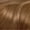 7CB/106B Champagne Blonde, variant on Clairol Nice 'n Easy Permanent Hair Color, 9.5PB/99 Natural Palest Blonde, 1 Kit