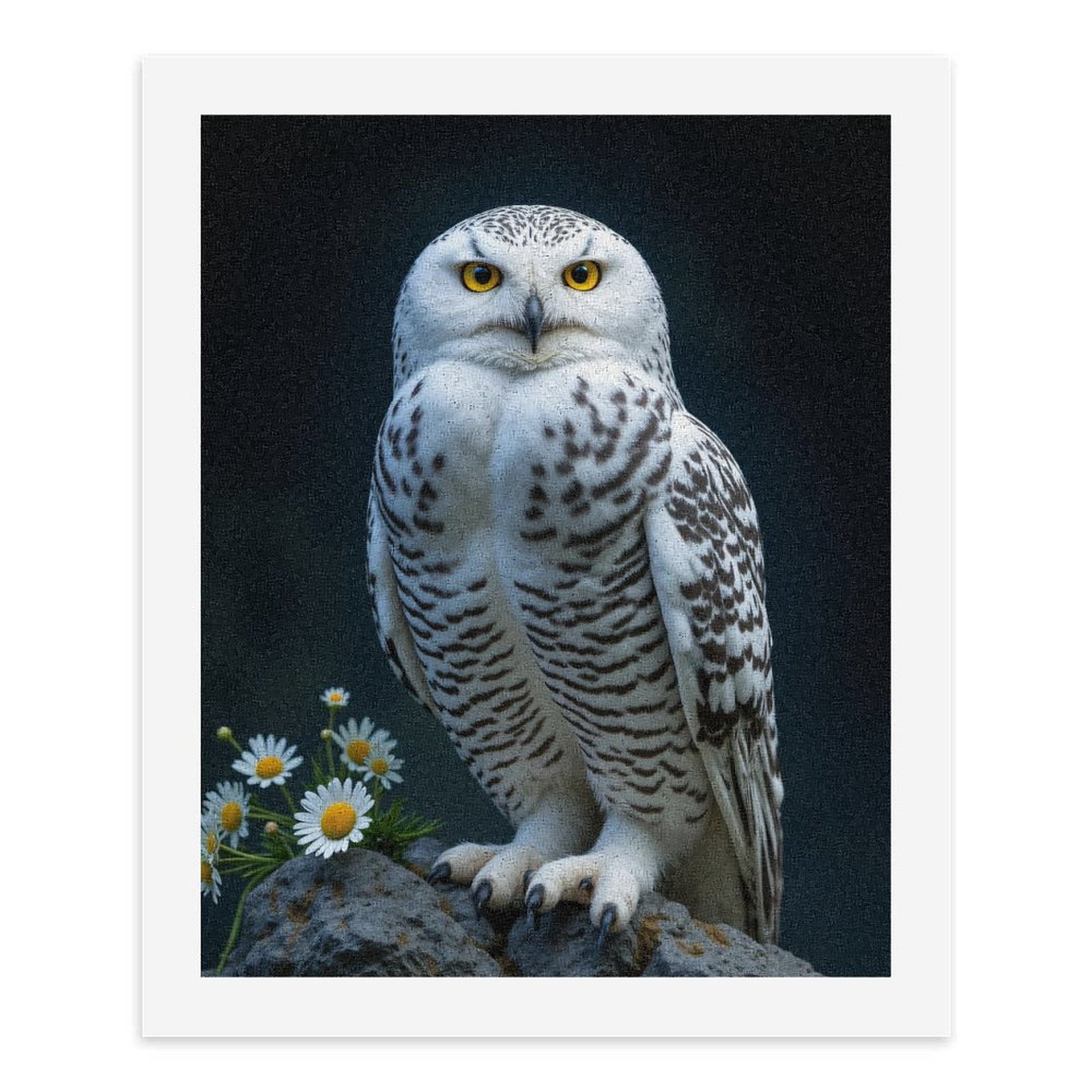 Paint by Numbers Kit for Adults, White Owl Perched On Rock Daisies Paint by Numbers, Easy Paint by Numbers Kit for Adults Beginner, DIY Adult Paint by Number Kits on Canvas, Home Decor