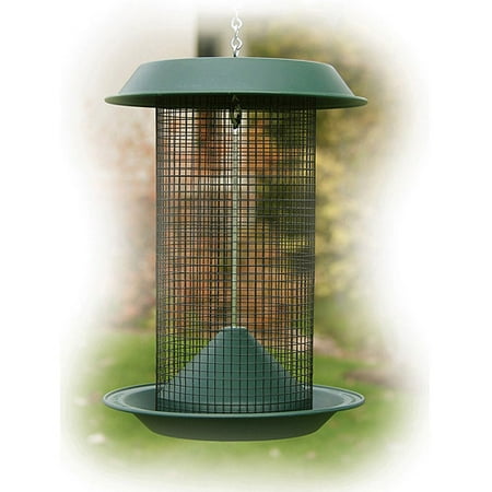 WoodLink Magnum Sunflower Feeder (Best Bird Feeder For Sunflower Seeds)