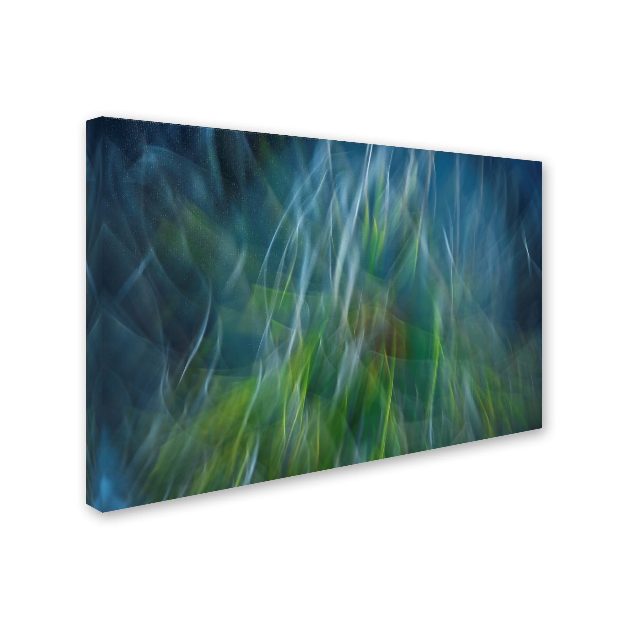 Paulo Abrantes 'Electro Shock Blues' Canvas Art