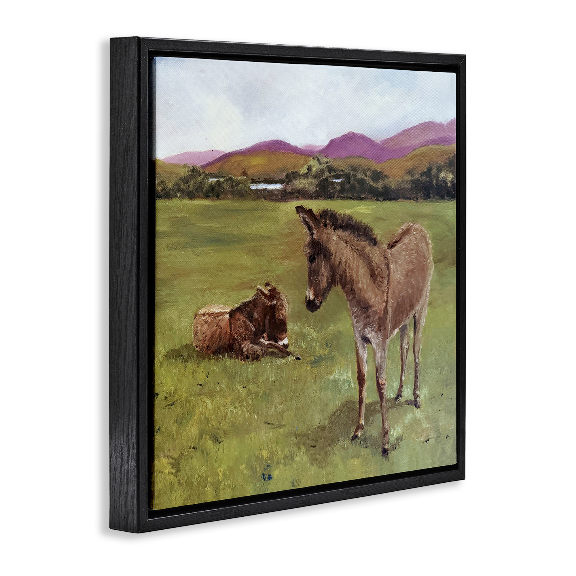 Donkey Duo in Pasture Black Framed Floater Canvas Wall Art, design by Patricia Reynolds