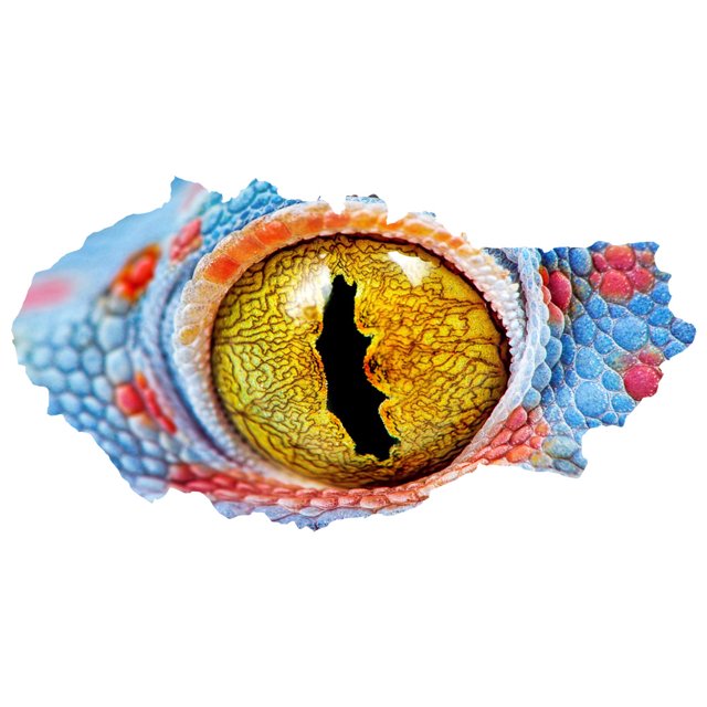 3D pared rota visión dinosaurio lagarto ojos pared pegatina sala de estar dormitorio decoración (estilo 5) JAMW Sencillez