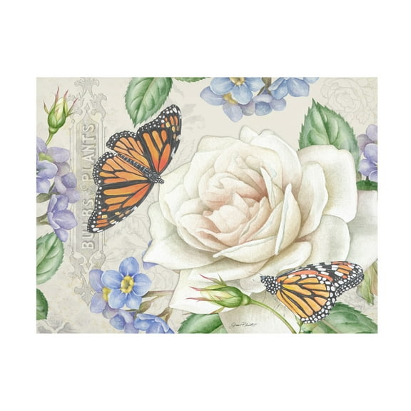 Canvas Wall Art - Jean Plout 'Rose Garden in Bloom C' Wall Art for Living Room, Bedroom, or Office Décor by Trademark Fine Art - 19 x 14 Inches