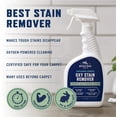 thumbnail image 3 of Rocco & Roxie Oxy Stain Remover - Oxygen Powered Carpet Cleaner Spray - Pet Stain Remover for Carpet, Spot Cleaner for Upholstery, Couch, Laundry, Rug, Clothes, Car Seat, Mattress, Sofa, and More, 3 of 6