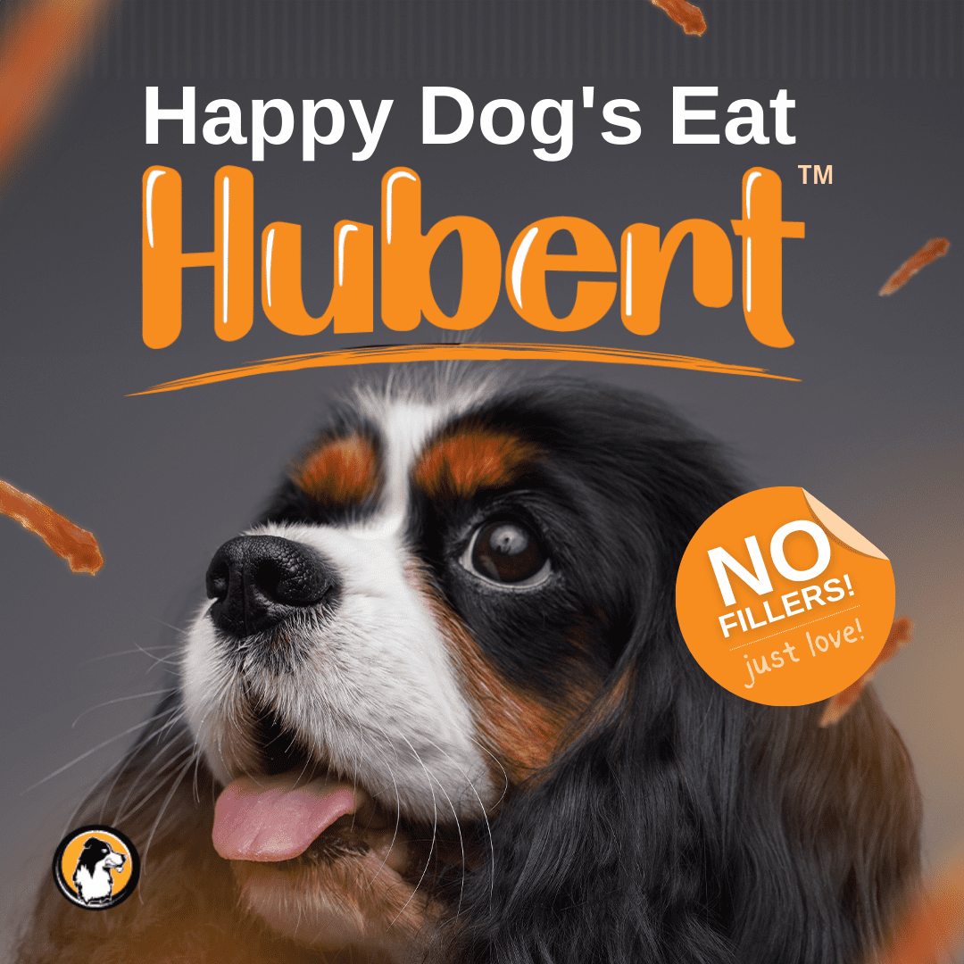 Hubert Pet Triple Flavored Rawhide Kabobs - Chicken, Duck & Pork Hide Dog Treats, Grain Free, Low Ingredient, USA Tested - 2 lbs Value Pack