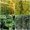 B, variant on WMGHA Trellis Netting, Heavy-Duty Garden Plant Trellis Netting for Climbing Plants,Outdoor Indoor Net for Cucumber, Tomatoes, Beans, Clematis, Fruits & Vegetables, Climbing Vining Plants