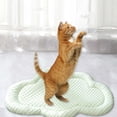 thumbnail image 1 of Summer Cool Mat Sleeping Pad Water Absorption Top Bottom Materials Safe Easy Carry Keep Cool For Pet Kids And Adults., 1 of 8