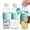 Robins Egg Blue, variant on Copco Hydra 16.9 oz Water Bottle, Set of 3 – BPA-Free Tritan Bottles with Leak-Proof Dual Opening Lid & Textured Grip, Reusable Drinkware for Travel, Gym & Everyday Use - Robins Egg (Blue)