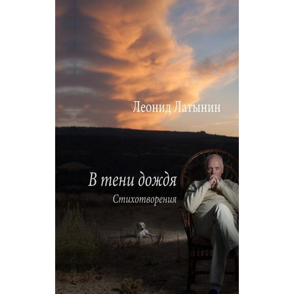 В ТЕНИ ДОЖДЯ IN THE SHADOW OF RAIN (Paperback)