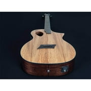 Forte Exotic Zebra Acoustic Electric Guitar