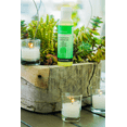 thumbnail image 7 of Plantlife Detox Massage Oil – Purifying Aromatherapy Blend for Skin and Body, Fast-Absorbing, Made in California, 4 oz, 7 of 7