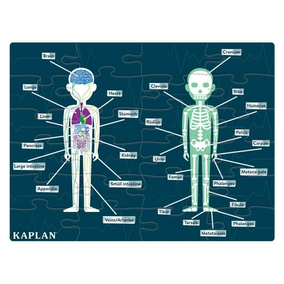 Kaplan Early Learning Company Human Body Puzzle - 24 Pieces