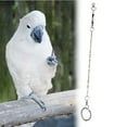 thumbnail image 4 of Cadena Para Tobillera De Pájaro, Soporte Para Pájaros, Anillo Para Tobillera, Cadena Para Pie De Loro, Para Periquito, Cacatúa, Loro, Para Actividad De Apertura, 4 of 7
