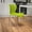 Citrus Green, variant on WYDK Ergonomic chairs available in a variety of colors，Contemporary Design Plastic Stack Chair,Modern,Office, living room, bedroom, for indoor use,Purple