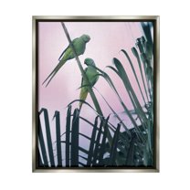 Stupell Industries Tropical Parakeets Pink Sky Animals & Insects Photography Gray Floater Framed Art Print Wall Art