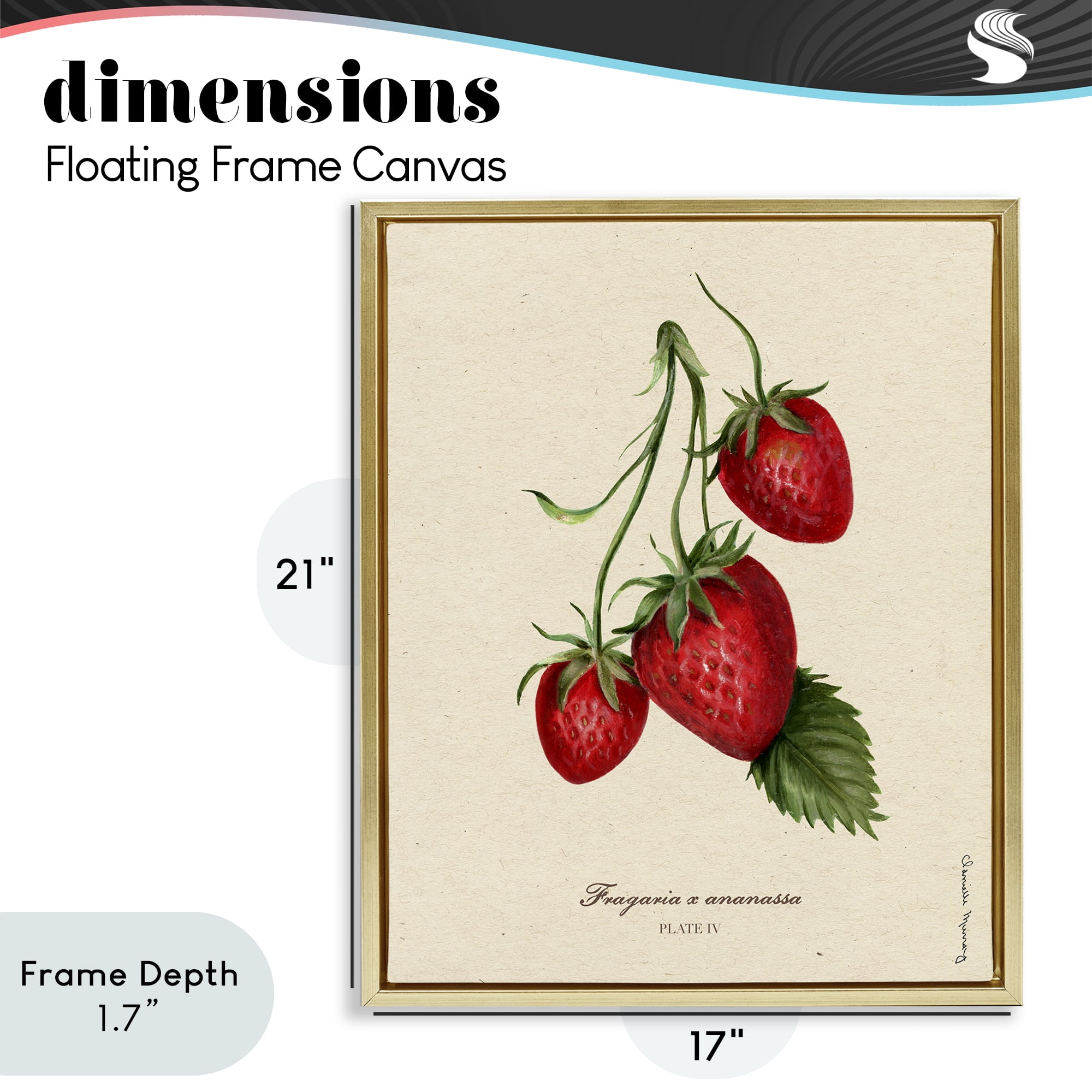 Stupell Industries Strawberry Fruit Portrait Gold Framed Floater Canvas Wall Art, design by Danielle Murray