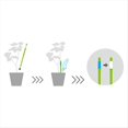 thumbnail image 4 of Medidor de Humedad del Suelo para Plantas de Interior (2 Unidades), Ideal para Plantas en Maceta de Interior (Tamaño Mediano), 4 of 5
