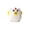 Yellow-L, variant on Cute Chicken-Shaped Ceramic Egg Separator, Farmhouse Style for Egg Yolk & White Separation, Non-Drip Design for Omelet & Baking, Yellow, By Preplabs