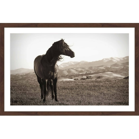 "Horse in Wind" Framed Painting Print