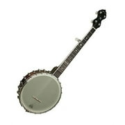 Gold Tone 5-String (A-Scale) Banjo w/ Hard Case