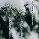 thumbnail image 1 of Cubo de Hielo de Navidad, 24 Piezas de Colgantes y Picos de Navidad, Decoración de Árbol de Navidad, Objeto Colgante de Hielo Acrílico, 1 of 5
