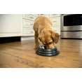 thumbnail image 4 of Iconic Pet 2-Pack Color Splash Stripe Non-Skid Pet Bowl, For Dog or Cat, Black, 16 Oz, 2 Cup, 4 of 11