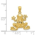 thumbnail image 3 of 14k Yellow Gold Solid Polished Finished Frog Charm Pendant, 3 of 3