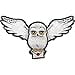 thumbnail image 3 of Harry Potter 49108 Harry Potter Witchcraft & Wizardry Accepted Patch, 3 of 4