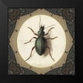 thumbnail image 2 of Waltz, Anne 20x20 Black Modern Framed Museum Art Print Titled - Bug me.., 2 of 5