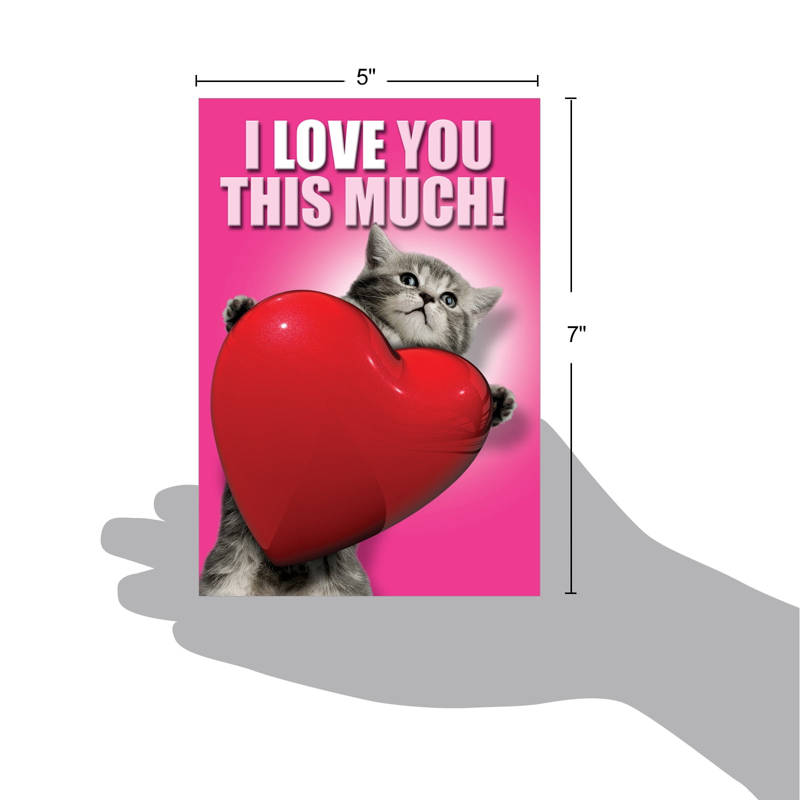 1 Funny Valentine's Day Card with Envelope - Love You This Much Cat  C1644VDG 