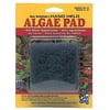 Algae Scraper Pad for Glass Aquariums