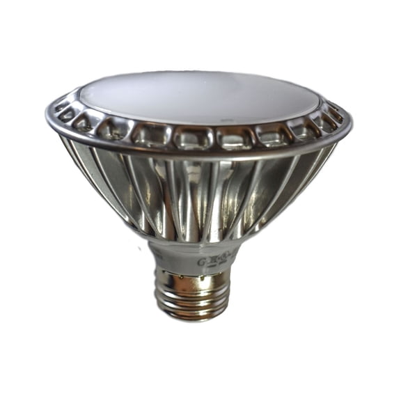 Accessories-Bulb by Maxim BL11PAR30FT120V30 in White Finish