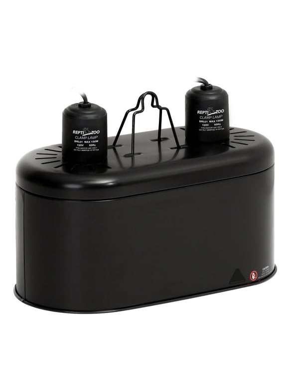 Reptile Supplies in Reptiles