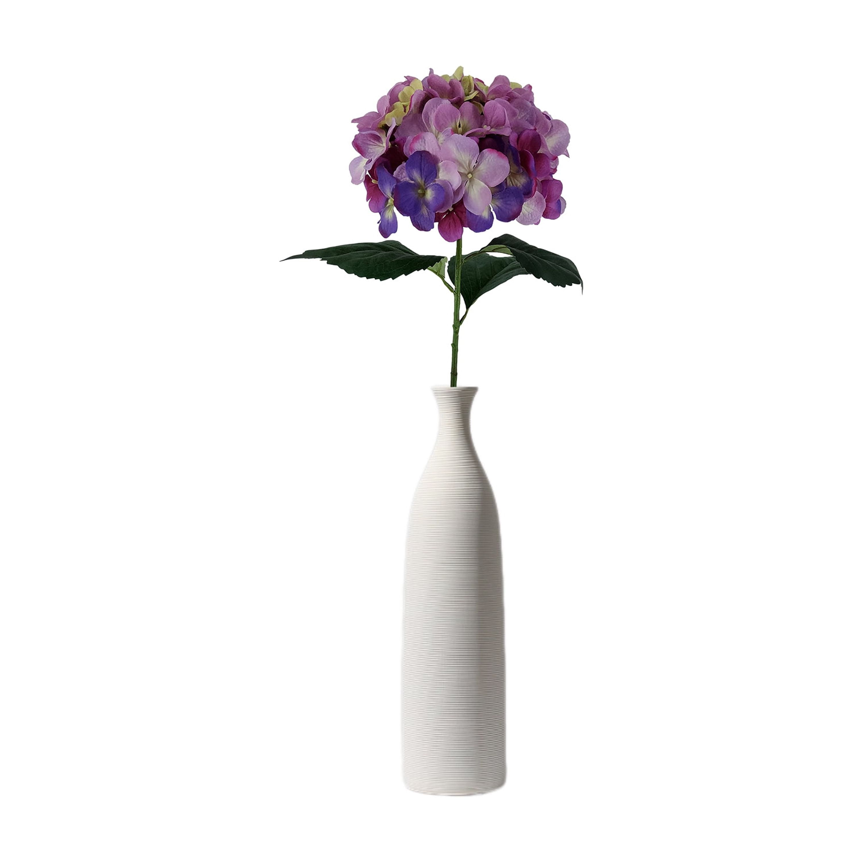 Hydrangea4936　0705 179224_main