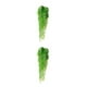 thumbnail image 2 of Cateissary Colgante de pared artificial Flor Planta Decoración falsa Interior Corto Blanco 85CM 2Conjunto, 2 of 6