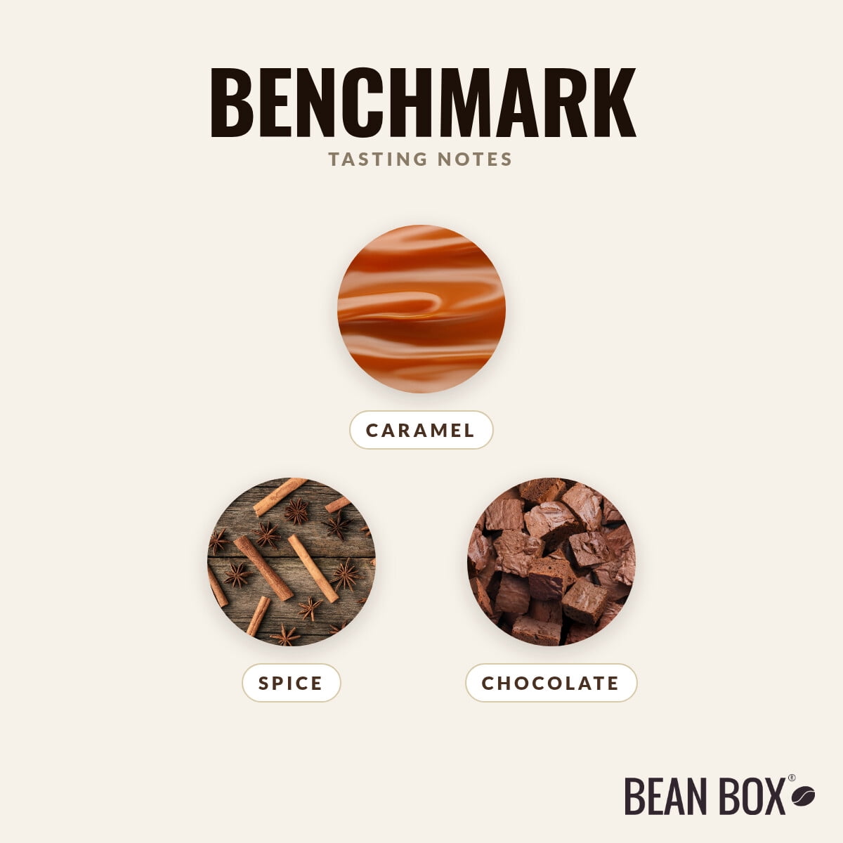 Benchmark - Roasted by Joe Coffee Company - Whole Bean Coffee - 12oz Bag