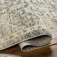 thumbnail image 5 of BoutiqueRugs Issay Traditional Area Rug - Beachhouse, Taupe, Gray - 5'3" x 7'10", 5 of 9