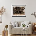 thumbnail image 4 of Historic Framed Print, Bealton Virginia. Company I 93d New York Infantry Officers and non-commissioned off, 17-7/8" x 21-7/8", 4 of 9