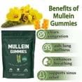 thumbnail image 5 of Mullein Gummies 1000 mg – Cuidado respiratorio natural, textura suave sabor a pera, 60 gomitas para uso diario, 5 of 5