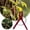 A, variant on 50-Pack Plastic Plant Training Clips, 3cm Vine Support Clips for Tomato, Cucumber, and Garden Stems