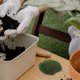 thumbnail image 4 of EXHUMKY 4Ud Decorativas De Musgo Falso Para Jardinería Con Aspecto Natural Y Sin Mantenimiento, 4 of 7