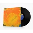 thumbnail image 2 of Run River North Drinking from a Salt Pond Vinyl, 2 of 2