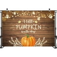 thumbnail image 3 of Fall Pumpkin Baby Shower Backdrop 7x5ft Autumn Rustic Wood Fall Baby Shower Party Decorations Photo Booth Backdrops A Little Pumpkin is on The Way Photography Background, 3 of 5