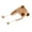 Style 2, variant on Warm Fleece Hooded Beanies For Skiing Capybara Penguins Plush Hat Hats