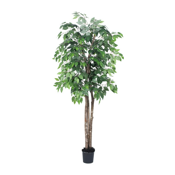 Vickerman 6' Artificial Ficus Deluxe Set in Black Pot - Walmart.com