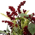 thumbnail image 4 of Northlight Red Berries and Foliage in Vintage Style Pitcher Christmas Decoration - 13", 4 of 5