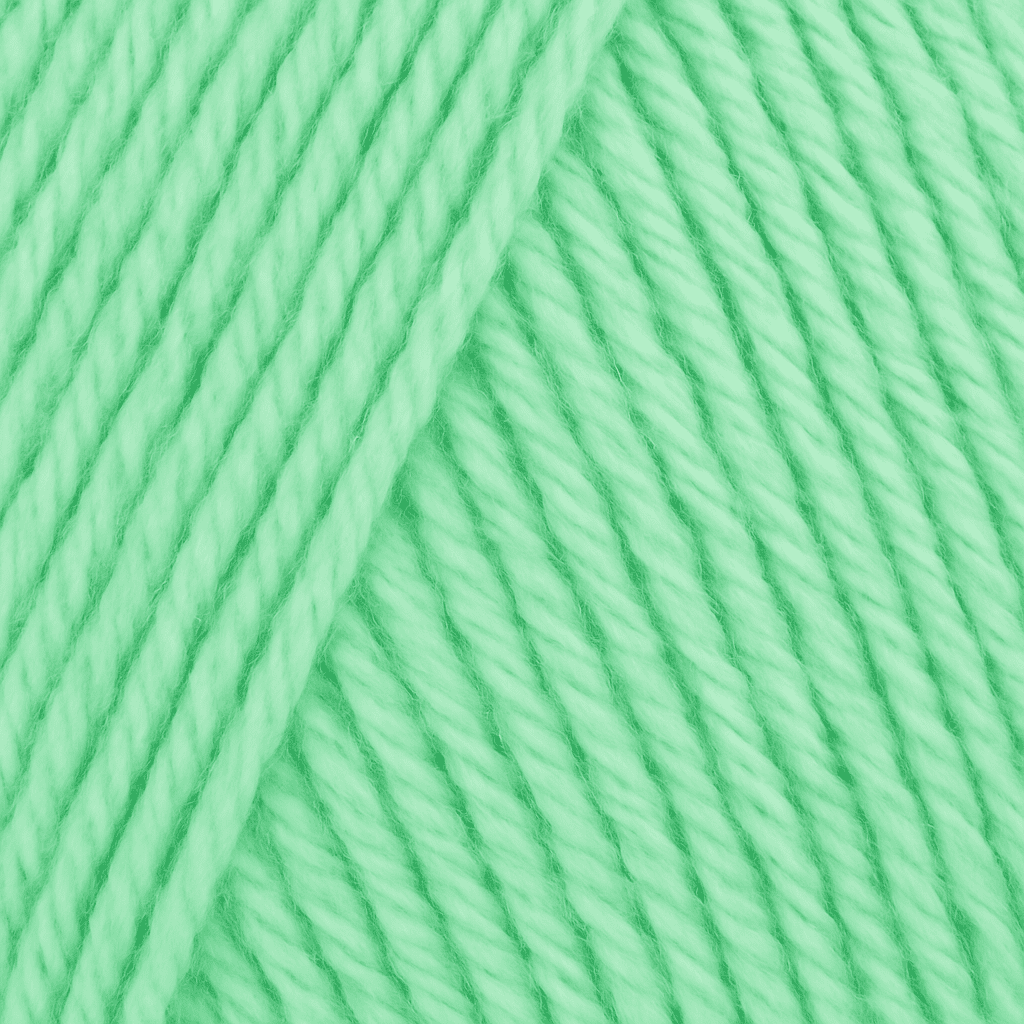 Big Twist Value Yarn Bundle- 2 Pack in Mint