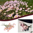 thumbnail image 1 of ICQOVD 6PCS Artificial Daisies Outdoors Suitable Home Weddings office Decoration, 1 of 4