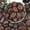 Red, variant on 5lbs White River Rocks, 1-2 Inch Natural Pebbles for Indoor Plants, High Polished Decorative Stones Vase Filler Fish Tank Aquariums Landscaping Garden Outdoor and Indoor DIY