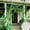 🔥 Green_New, variant on KITTEHIGM Set of Stretchable Bug Net Fabric with Multicolor Plastic Critters for Yard Patio Bar Indoor Party Themed Scene Decoration